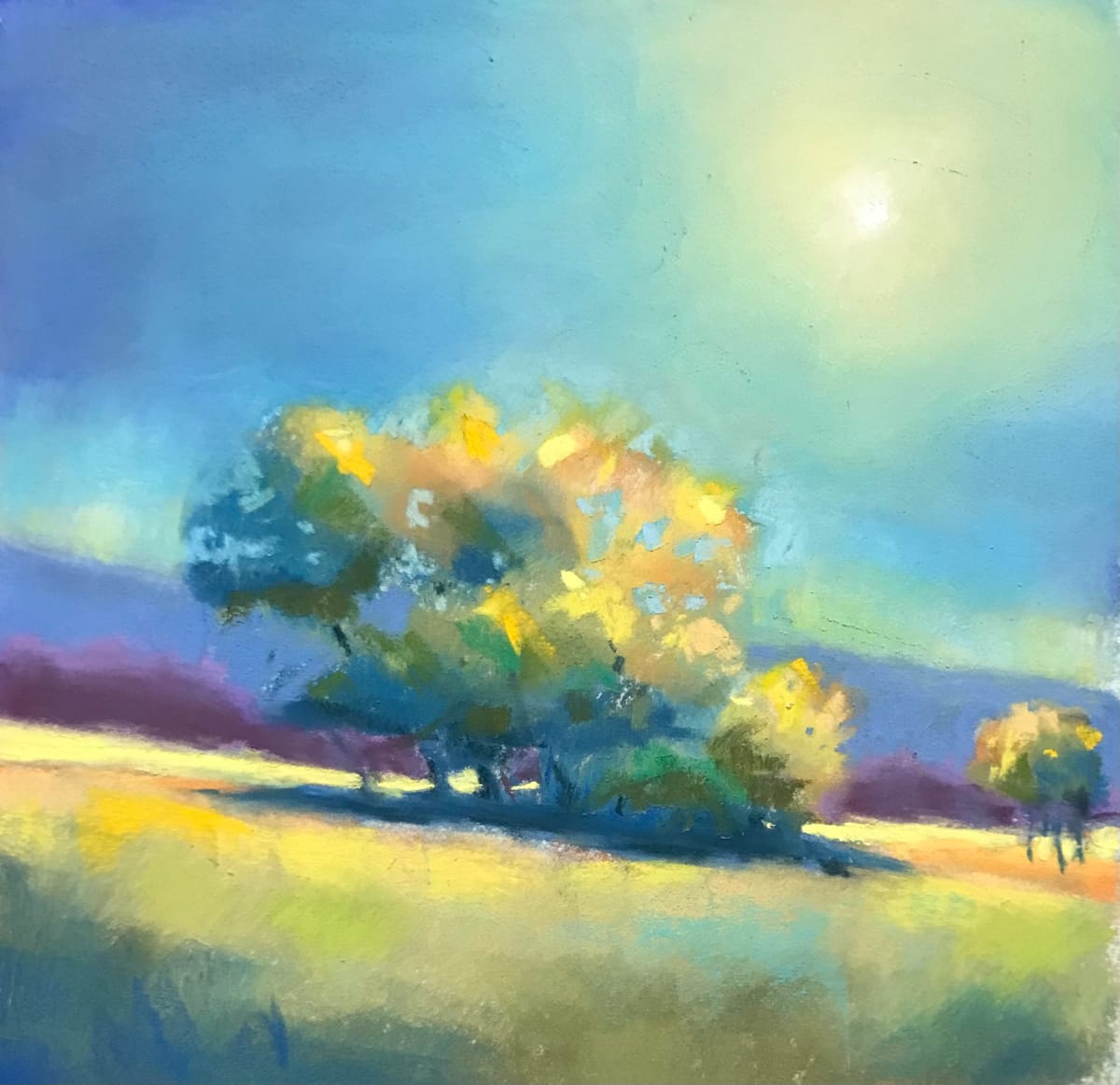 Going Where the Sun is Shining by Judy Albright 