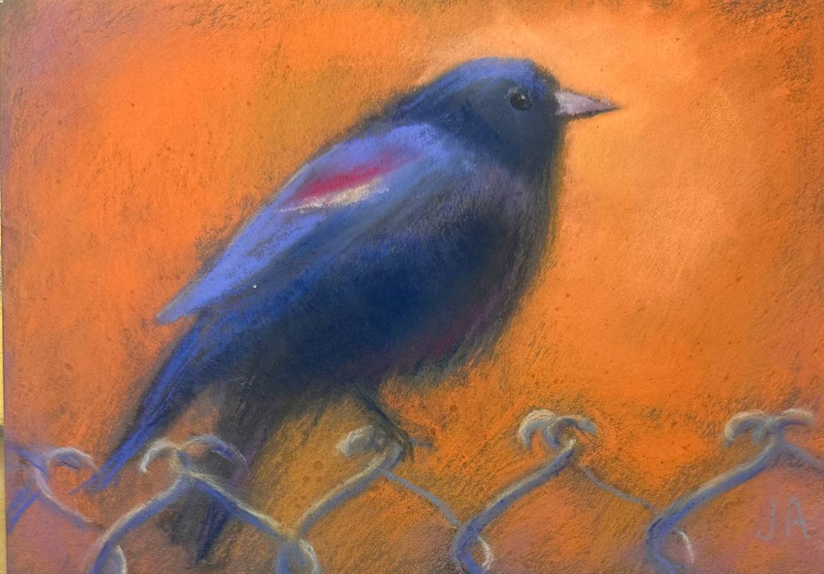 Blackbird Sitting by Judy Albright, Image 1.