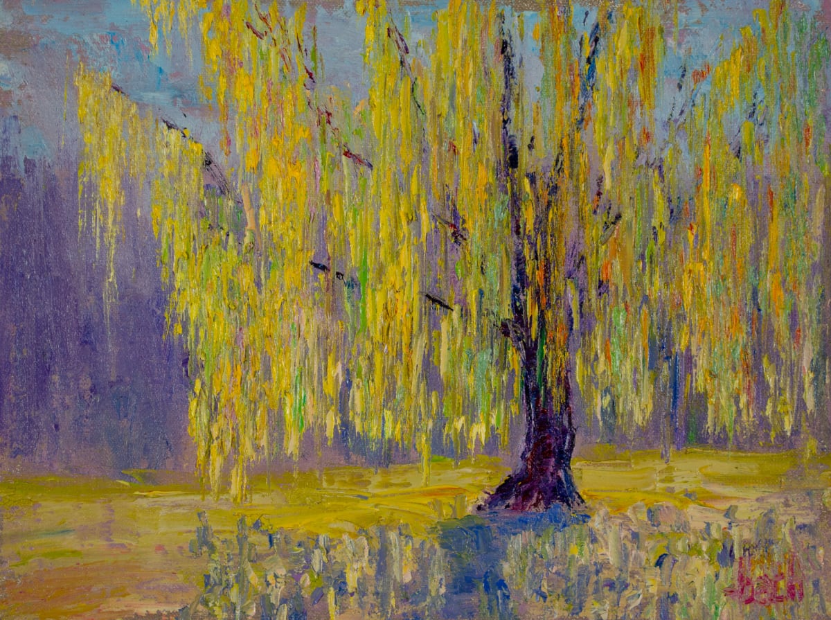 Willow Or Wont by Jay Holobach 