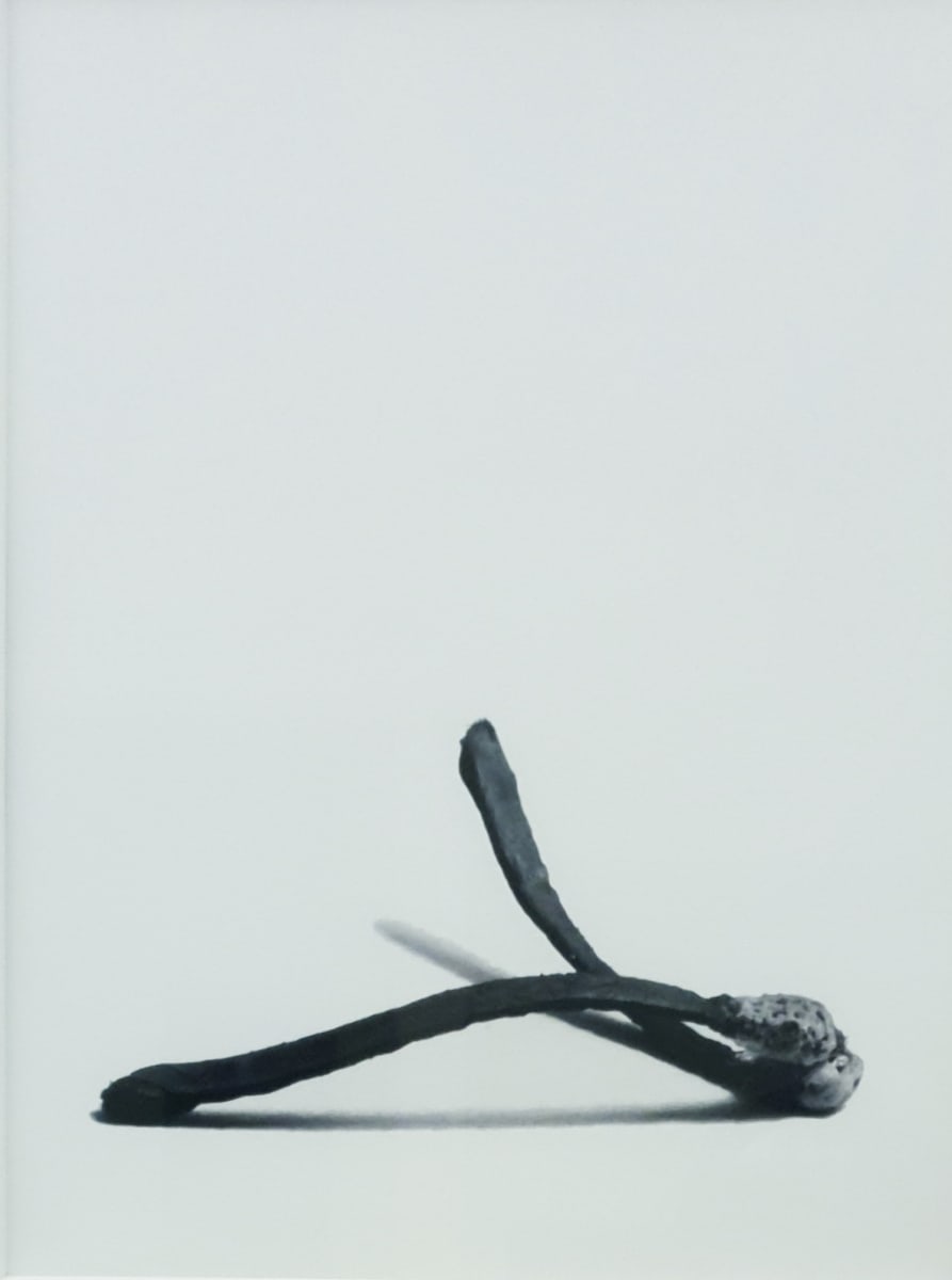 Same Boat 01 - Series Matches by Victor Haim 