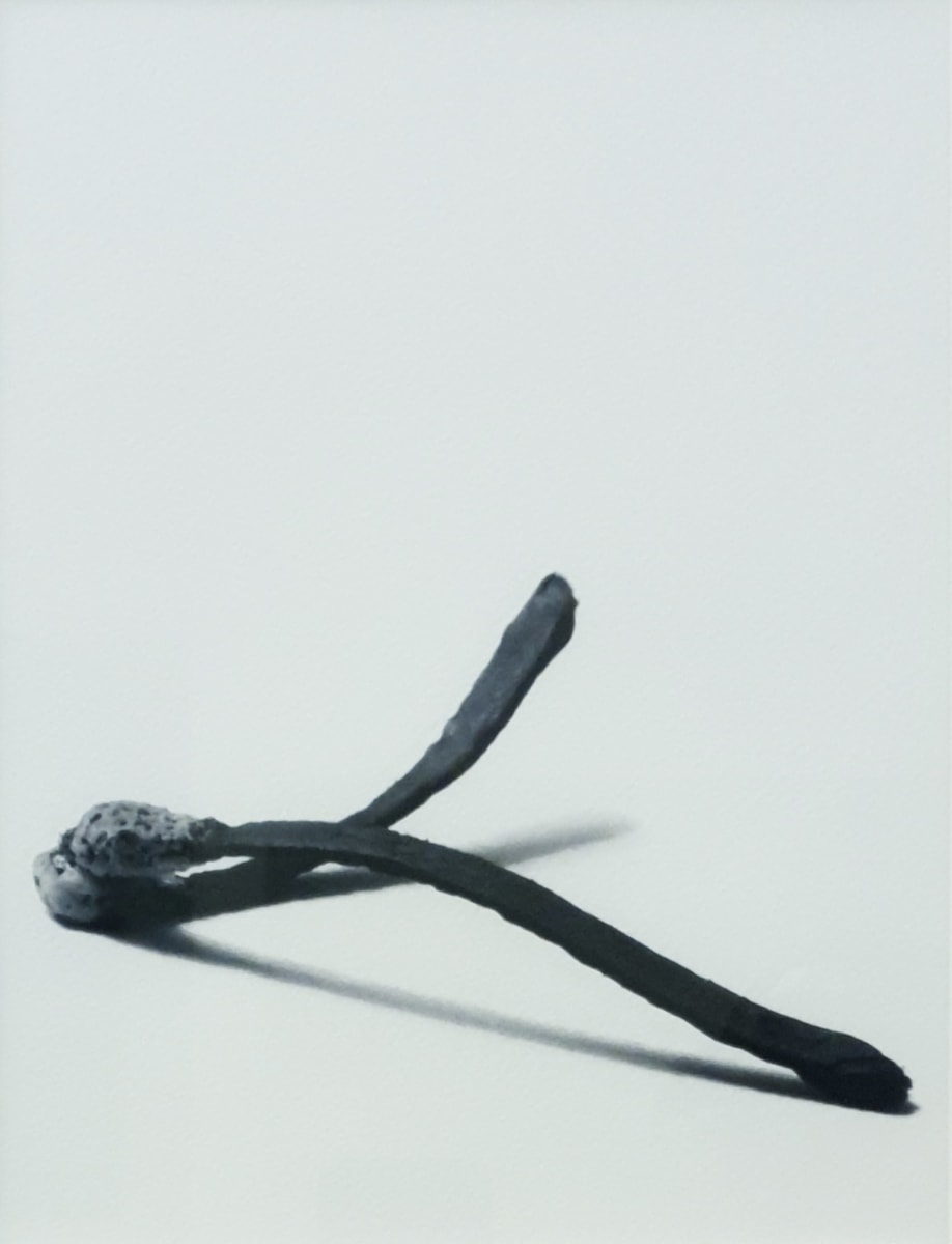 Same Boat 04 - Series Matches by Victor Haim 