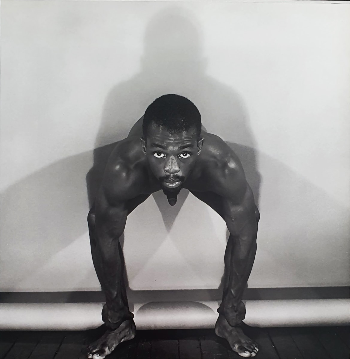 No Title by Robert Maplethorpe 