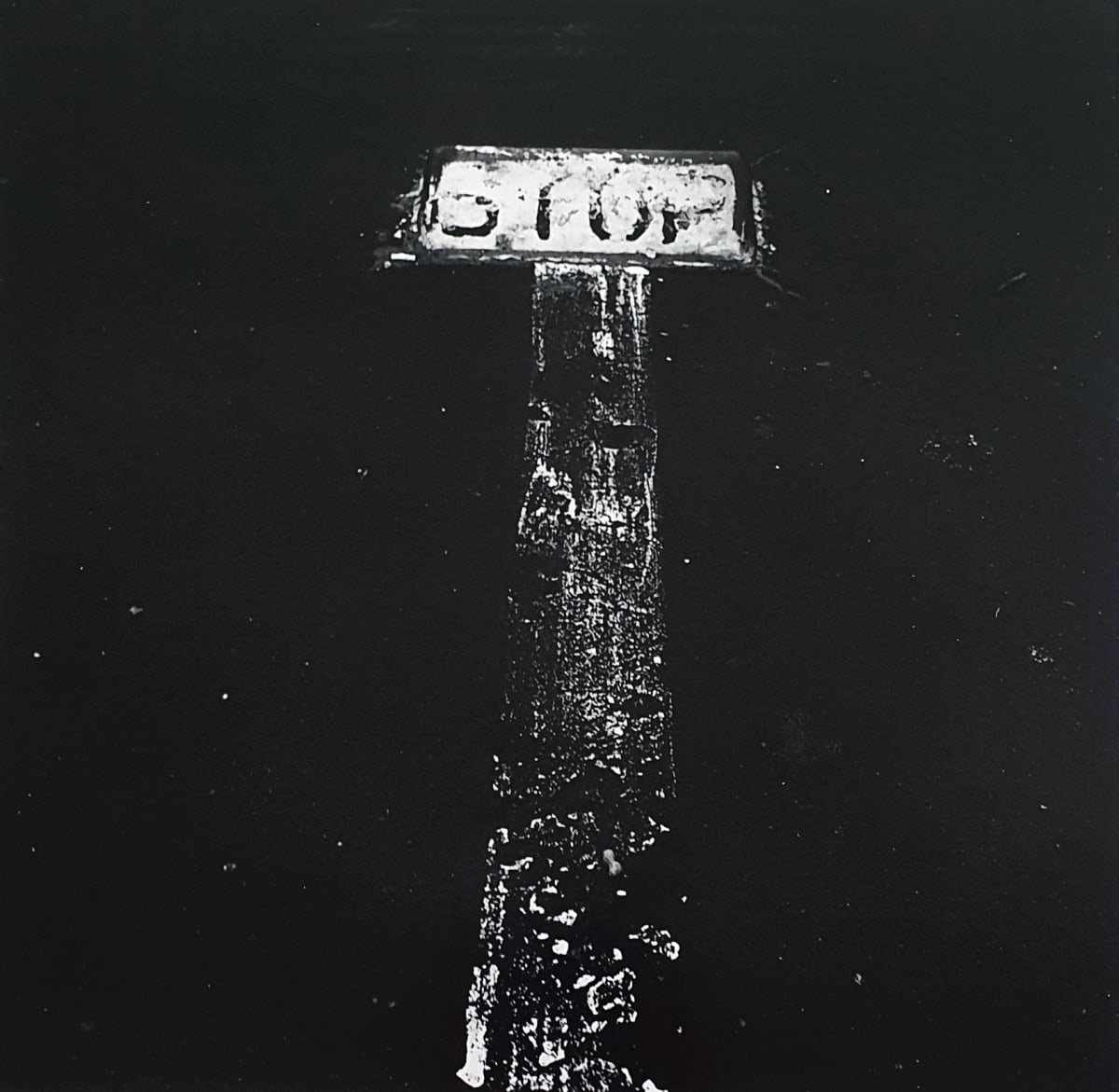 No Title by Robert Rauschenberg 