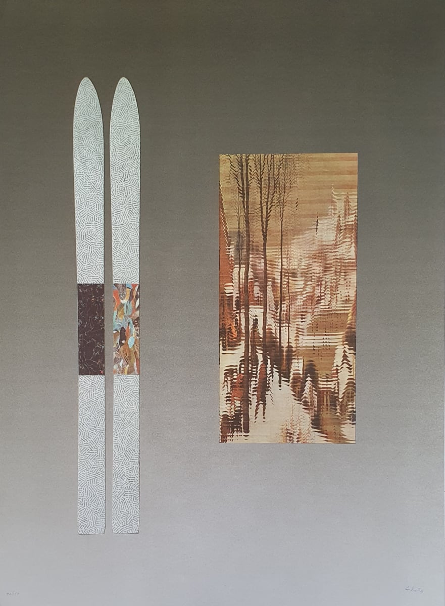 Skis by Jiri Kolar, Image 1.
