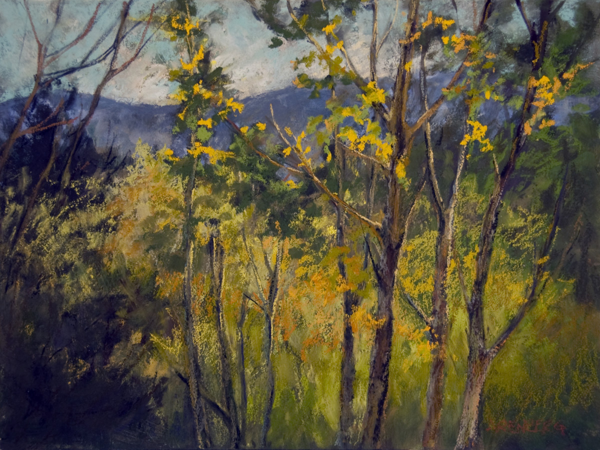 Aspens by Diane Arenberg 
