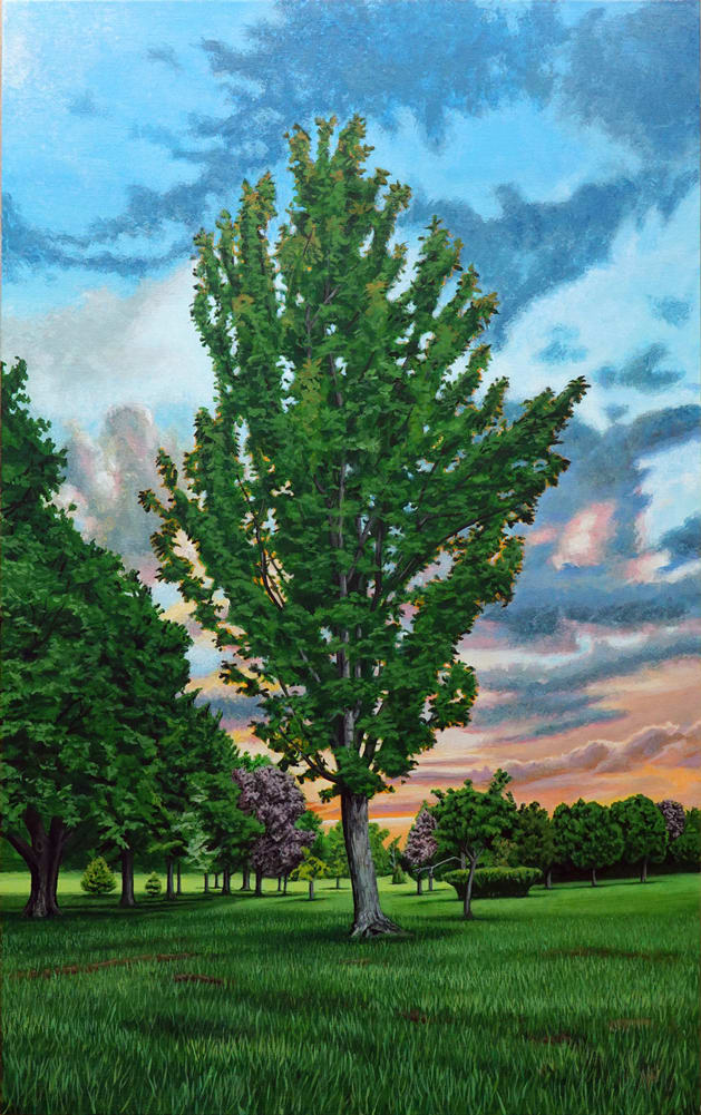 Lone Soldier by Fletcher Hayes  Image: The Lone Soldier stands tall on the afternoon landscape, catching the fiery glow on its leaves.