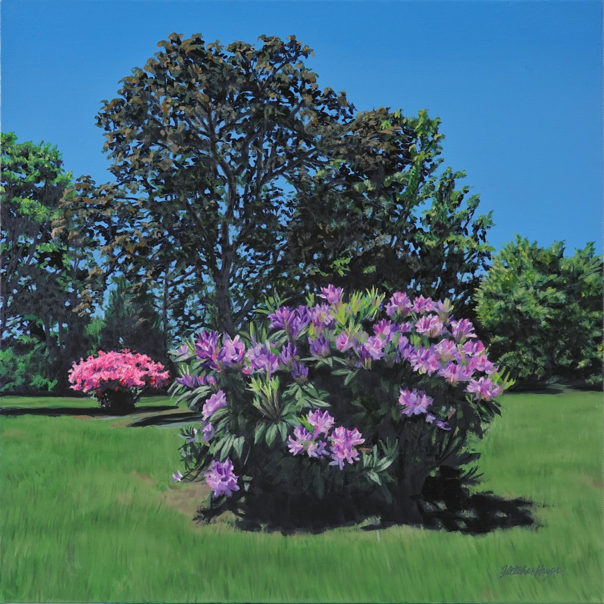 Standing Ovation by Fletcher Hayes  Image: "Standing Ovation" oil painting on canvas by Fletcher Hayes depicts a pink Japanese Azalea and a lavender Rhododendron at peak bloom in a grassy meadow.