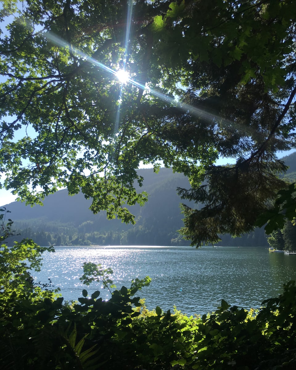 Summer Sun, Day Before the Great American Eclipse by Tonja Michelle (gabryshak) 