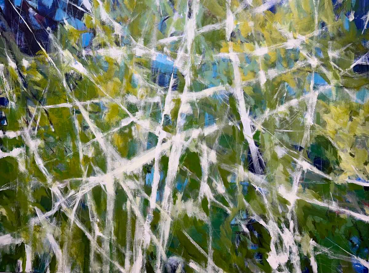 Bird's Web by Janis Gosbee 