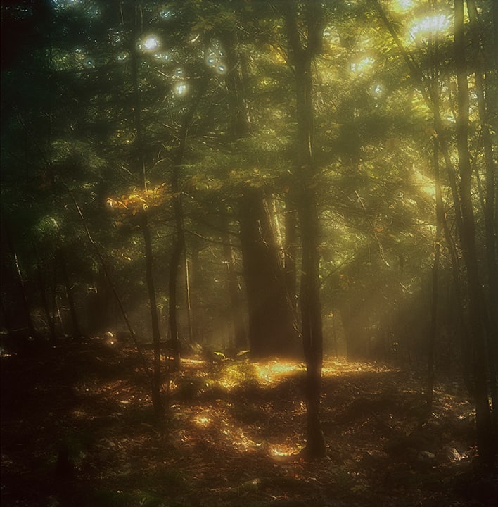 Early Morning, Silent Lake by Hugh Martin  Image: Limited editions available in three sizes