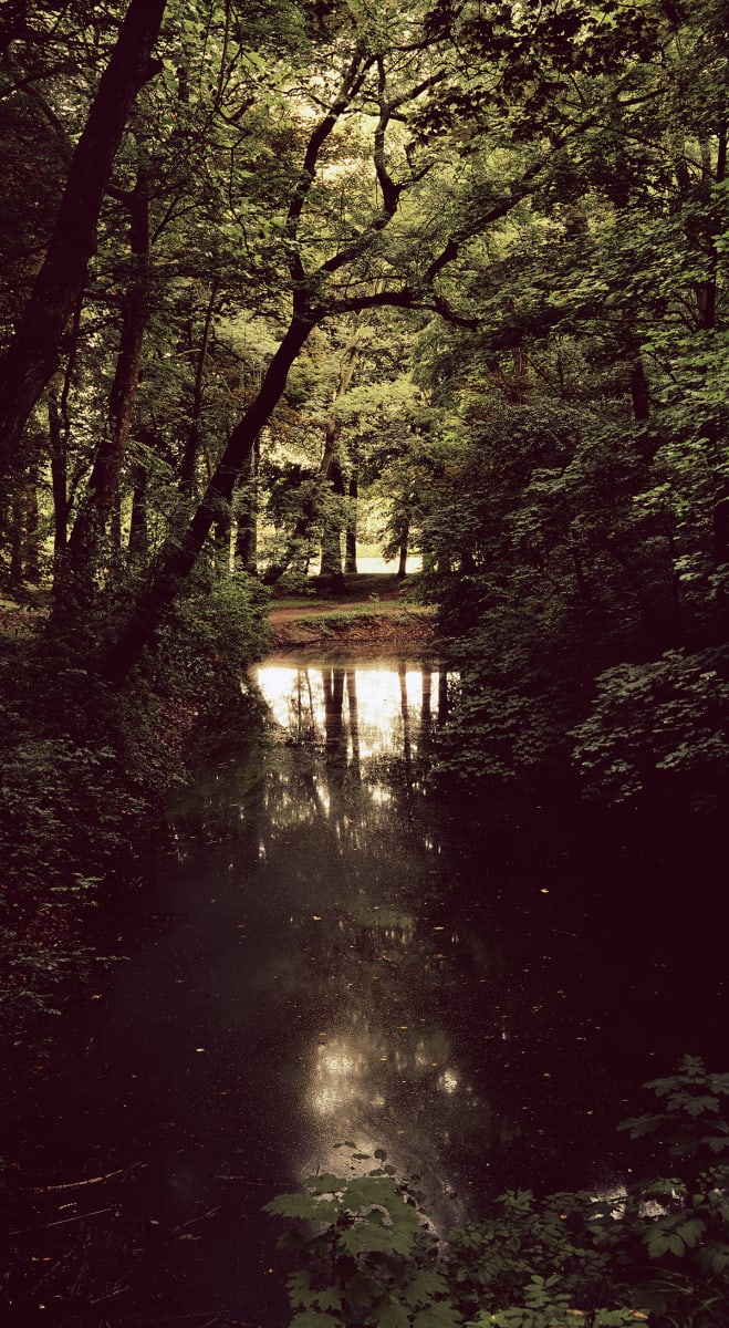Reflections, Lille by Hugh Martin, Image 6.