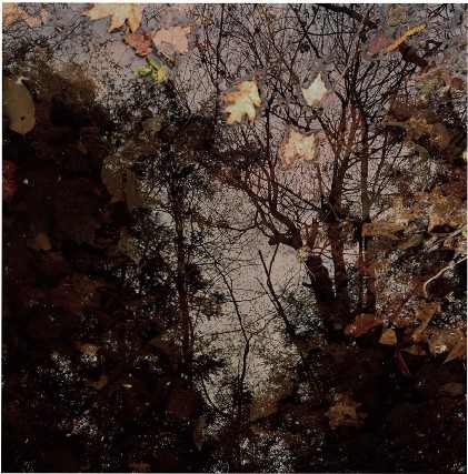 Reflecting Pool, Silent lake by Hugh Martin, Image 10.