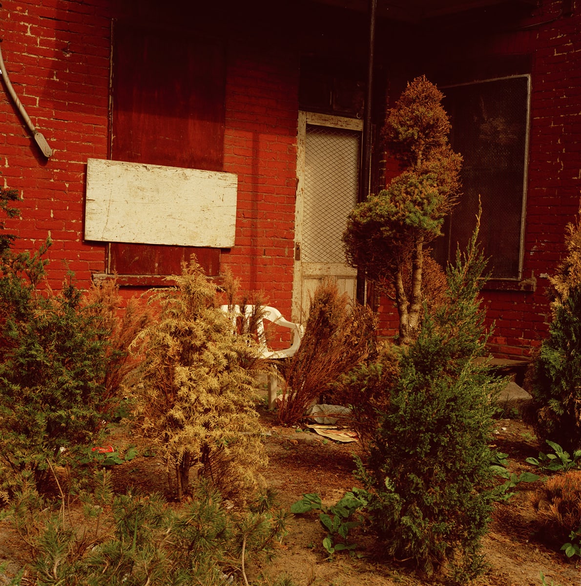 Modern-Day Vernacular, Montréal by Hugh Martin  Image: Limited editions available in three sizes
