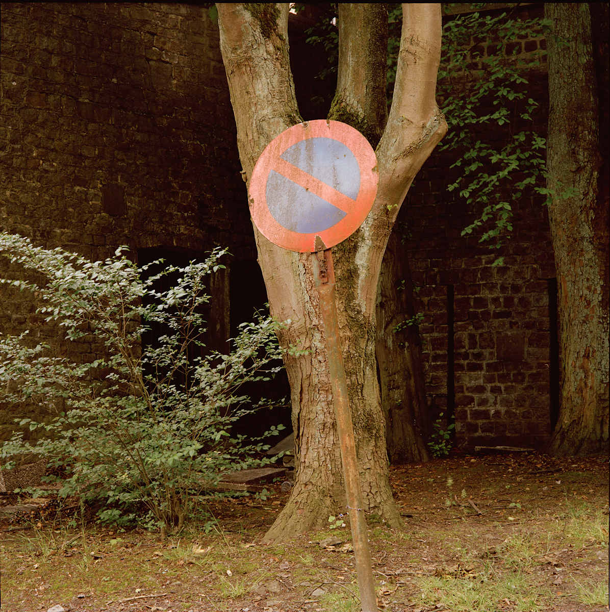 No Parking, Namur by Hugh Martin, Image 1.