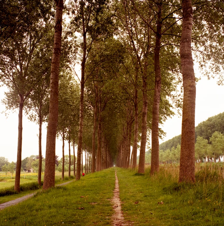 Pathways, Brugge by Hugh Martin, Image 1.