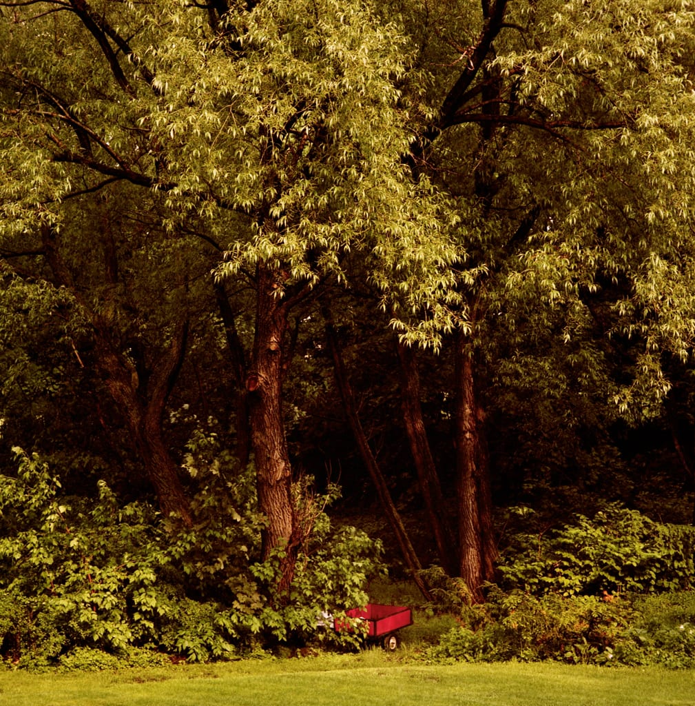 Red Wagon, Québec by Hugh Martin, Image 1.