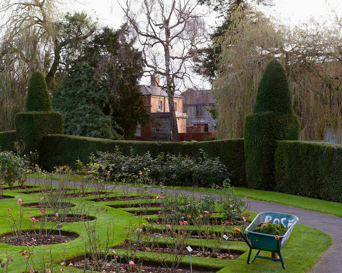 Botanic Gardens 3, Dublin by Hugh Martin, Image 2.