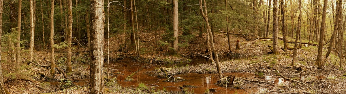 Spring Landscape, Silent Lake by Hugh Martin, Image 2.