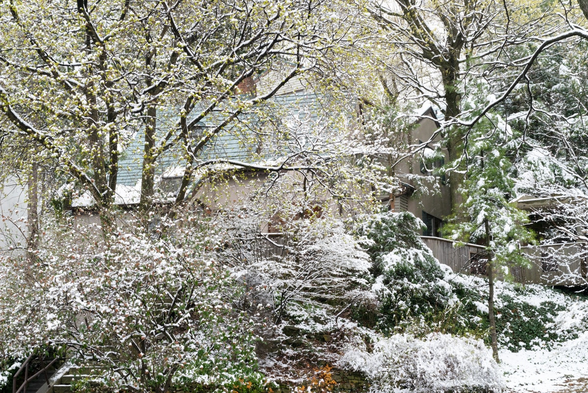 Spring Snowfall #1, Hamilton by Hugh Martin, Image 4.