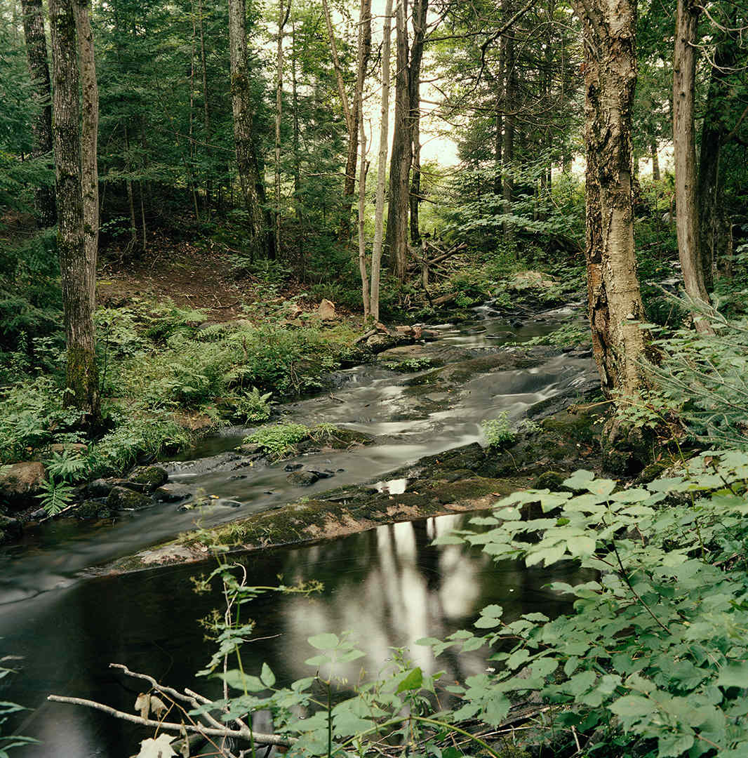 Summer Stream, Silent Lake by Hugh Martin, Image 2.