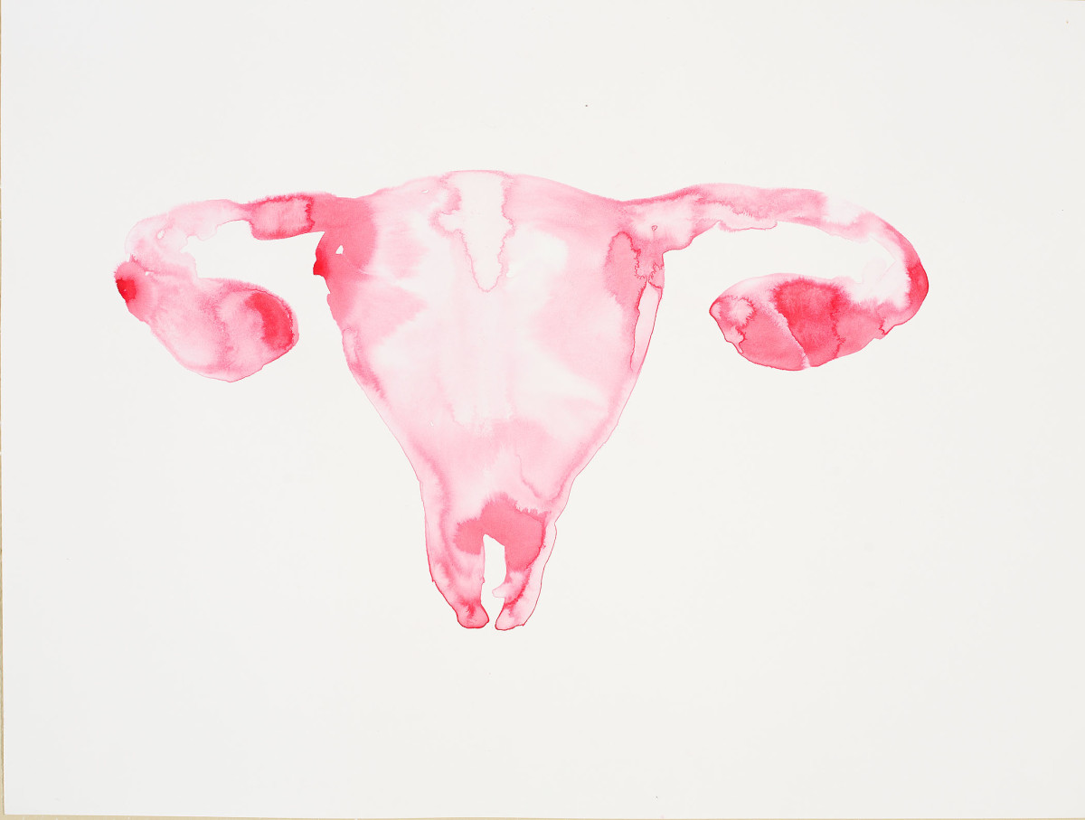 Uterus by Caitlin G McCollom 