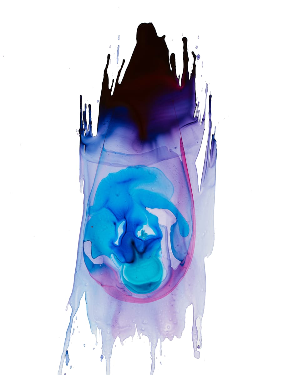 Gestating Vision by Caitlin G McCollom, Image 1.