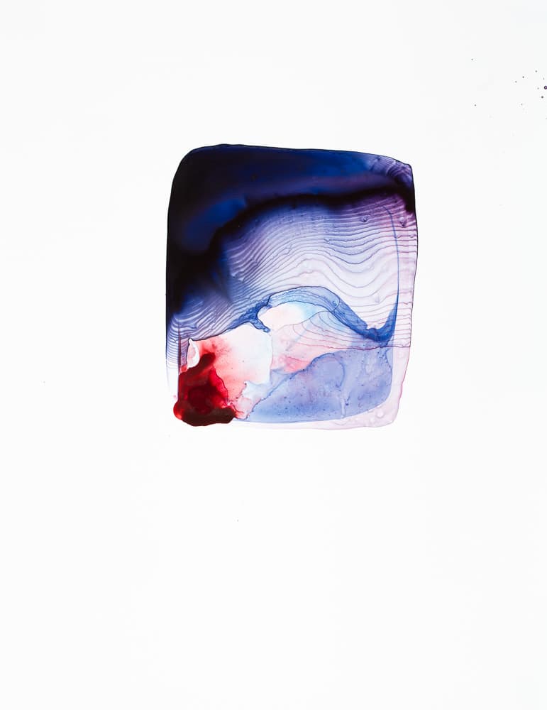 Veiled Window by Caitlin G McCollom, Image 1.