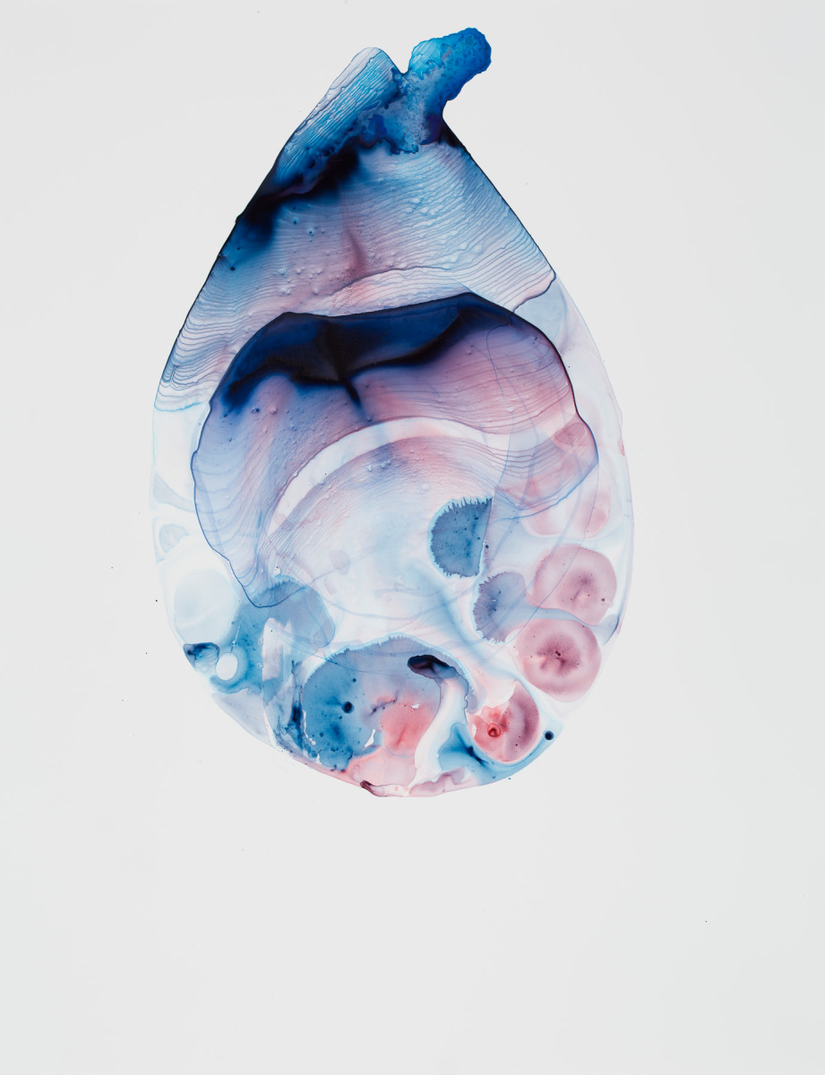 Wandering Mists by Caitlin G McCollom 