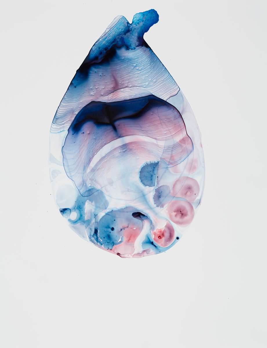 Wandering Mists by Caitlin G McCollom, Image 1.