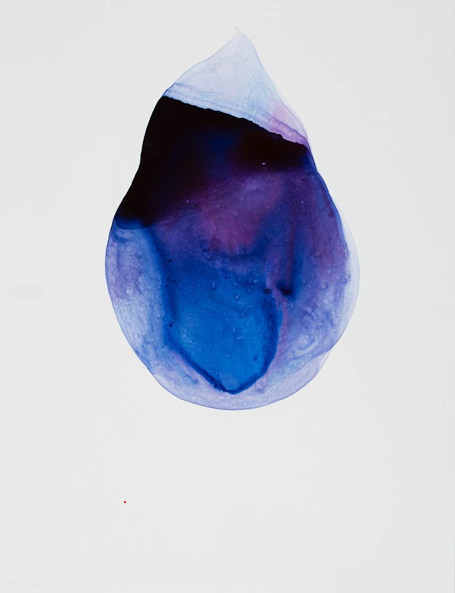 Silent Glacier by Caitlin G McCollom, Image 1.