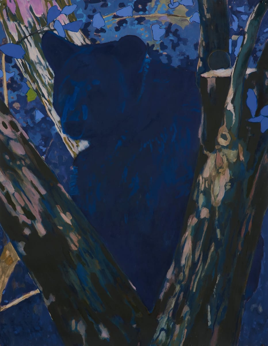 Black bear blue by Chris Pavlik 
