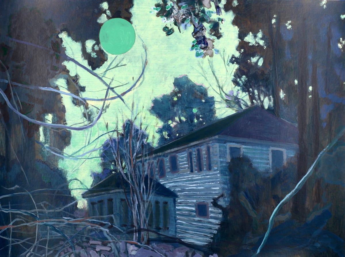 Its neglected body housed a dwindling spirit by Chris Pavlik 