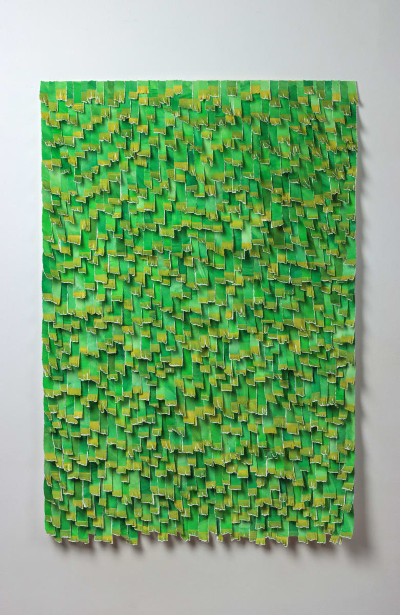 Mielie Fields by Karla Nixon  Image: Mielie Fields