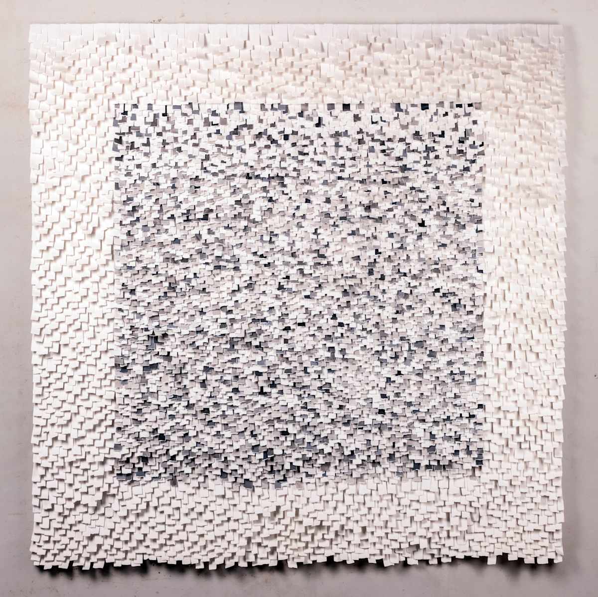 White Noise by Karla Nixon  Image: White Noise