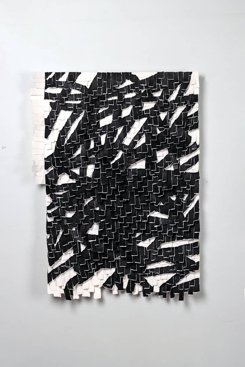 Line 3 by Karla Nixon, Image 7.