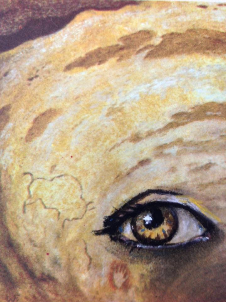 17342715_10154604948851795_727596100824093862_n_aevtwc_0 by Lois Keller 