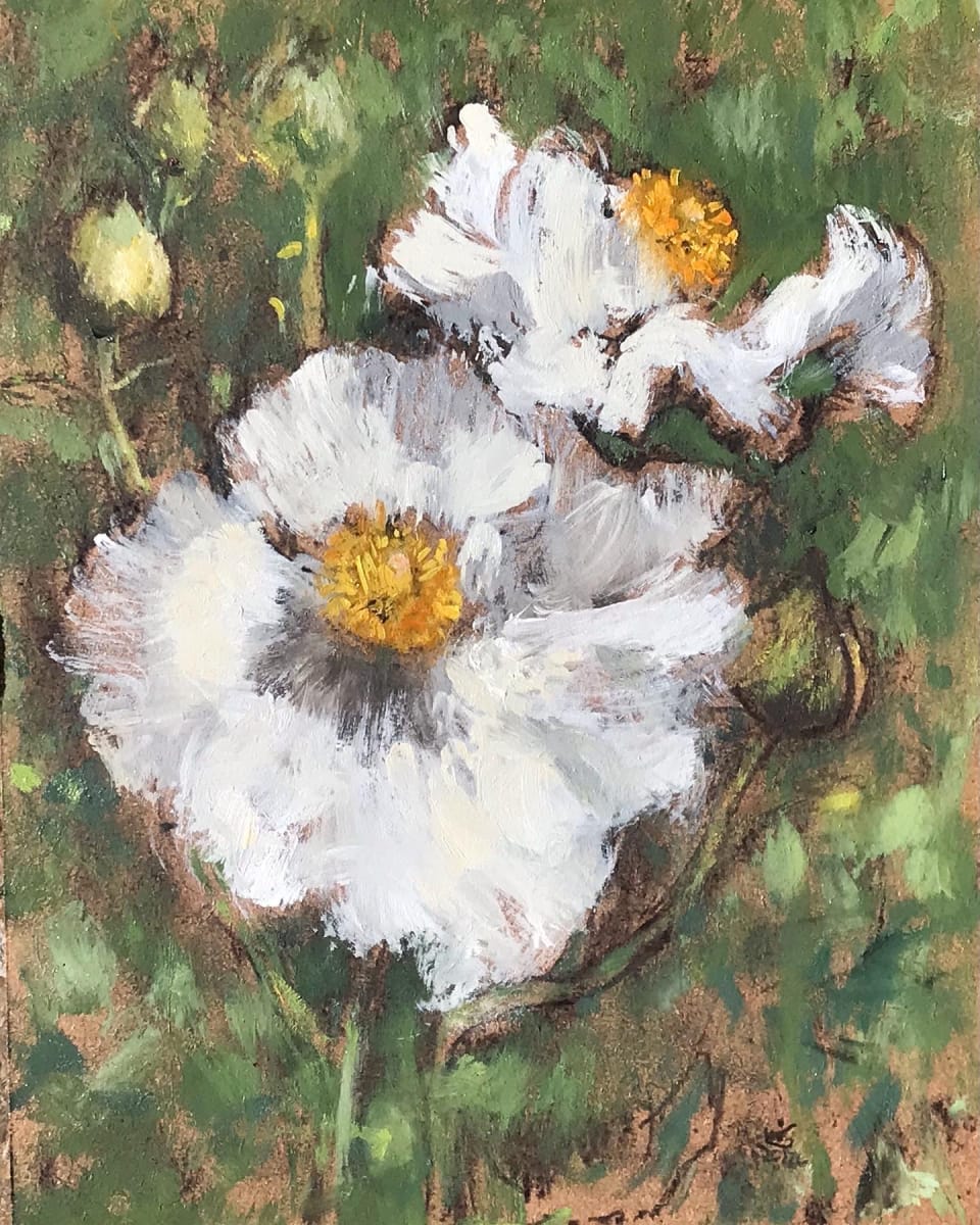 Matilijas in Plein Air by Lois Keller 