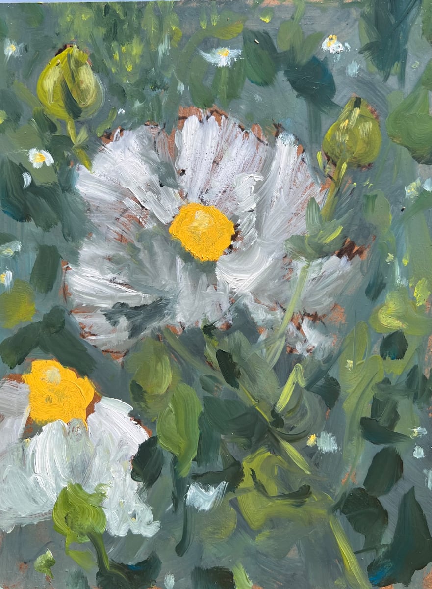 Matilija May 2023 by Lois Keller  Image: plein air painting within the magic of the native Matilija Poppies in the Santa Monica Mountains.