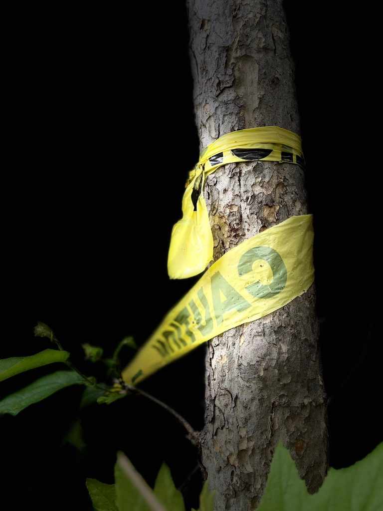 Caution Humans by Lois Keller 