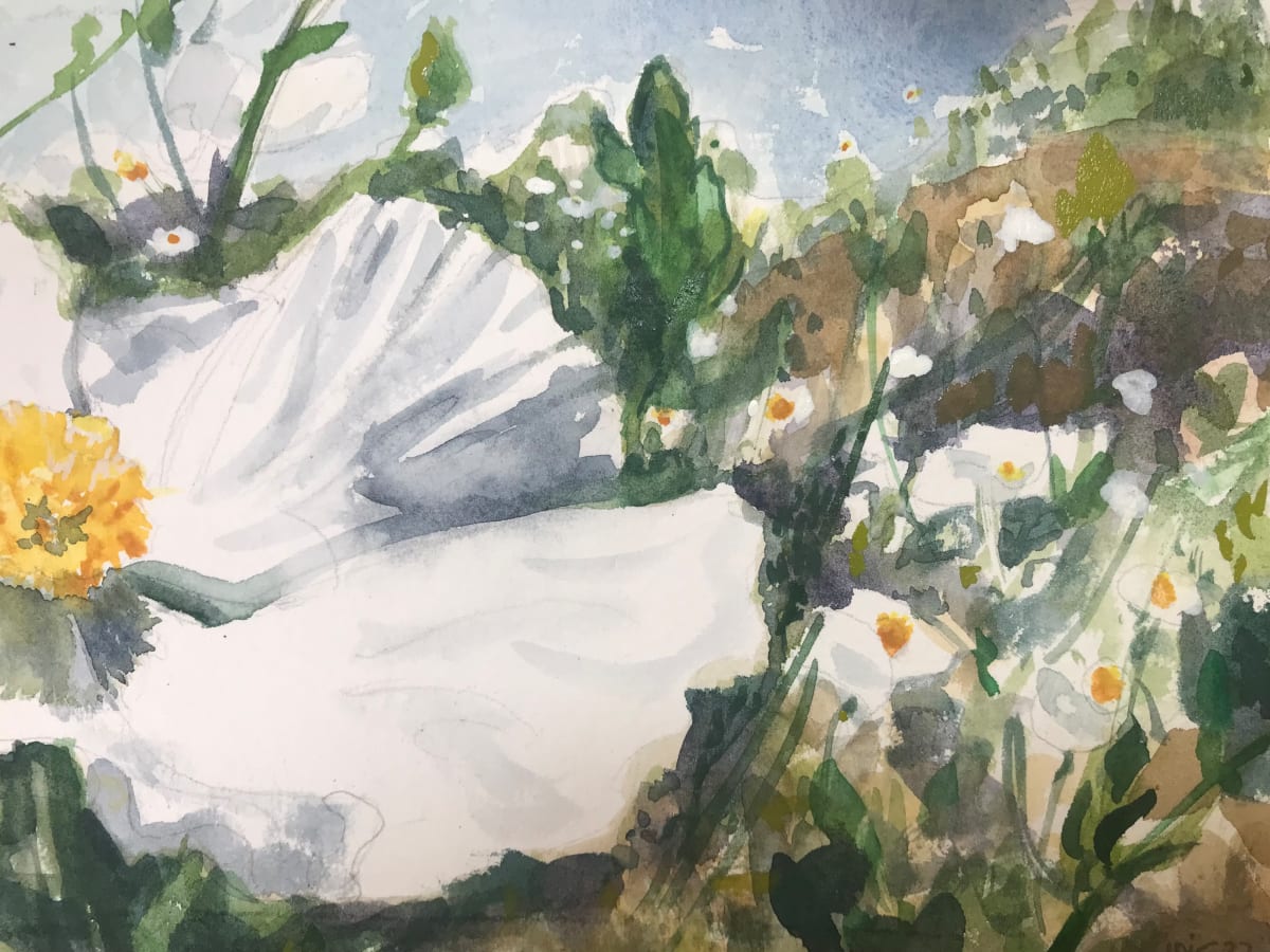 Susan Budd by Lois Keller  Image: A giant white  Matilija with an orange yellow center dominates this landscape in watercolor painting.