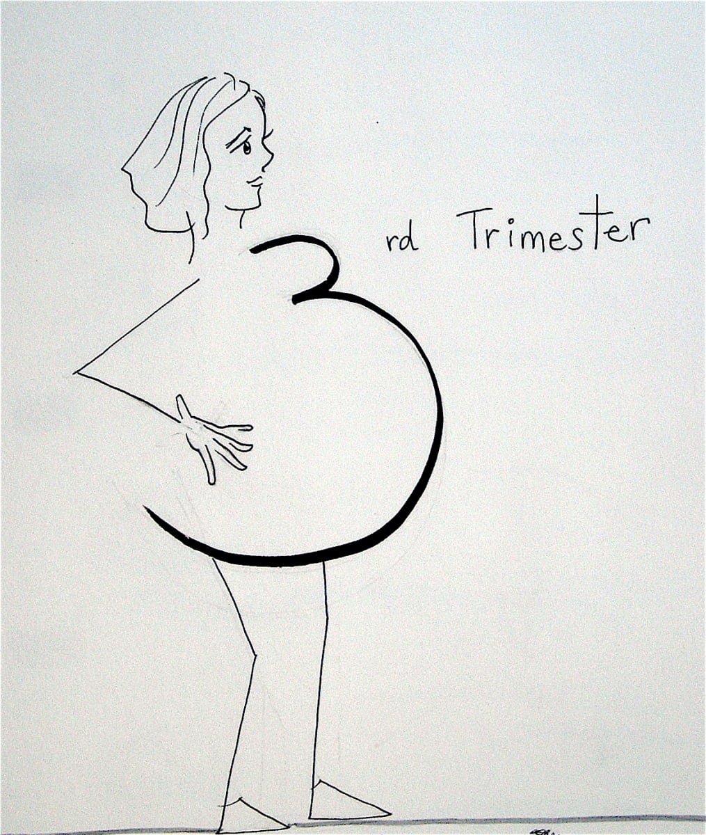 40 weeks Illustrated Pregnancy Journal by Lois Keller, Image 16.