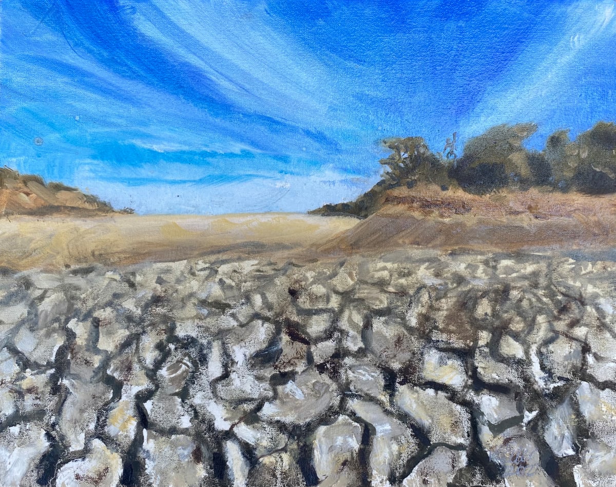 Drought by Lois Keller 