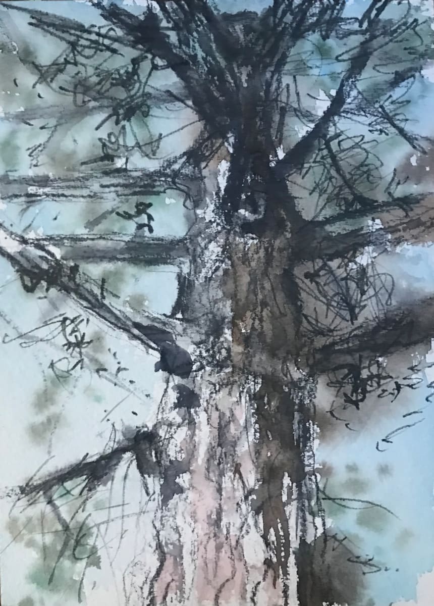 Studio City Pine by Lois Keller, Image 1.