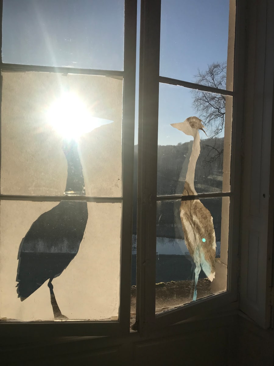 Heron Sunrise by Lois Keller, Image 6.