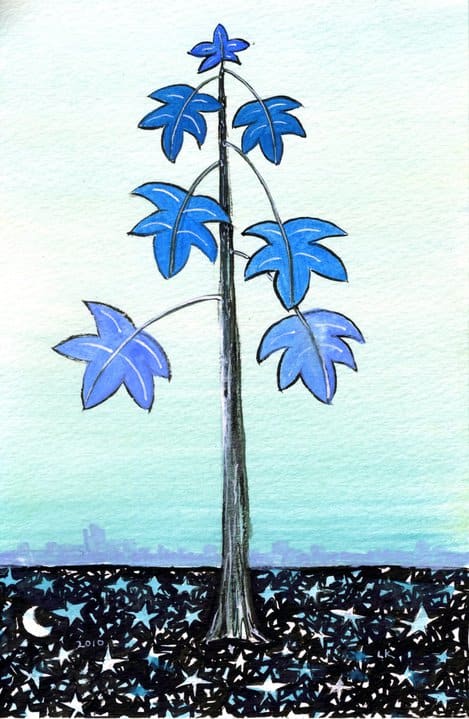 Nighttime Sky by Lois Keller 