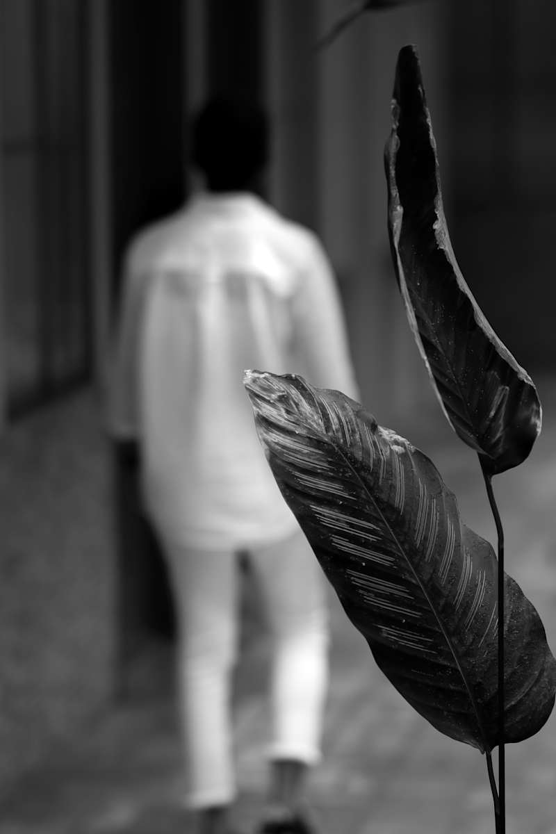 Peace by NiEtta Reynolds, Image 1.