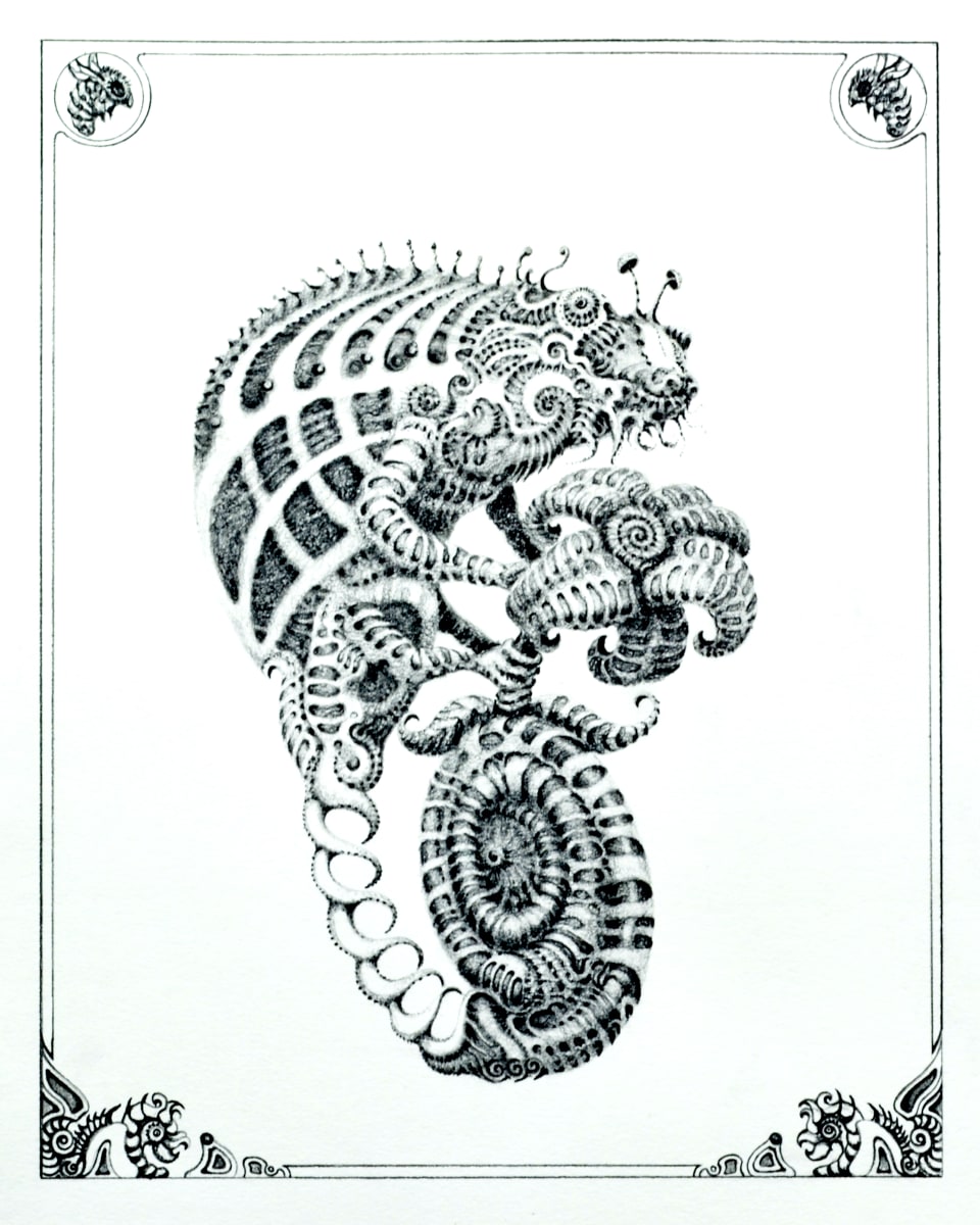 Fickle Complex by Doug Sandelin 