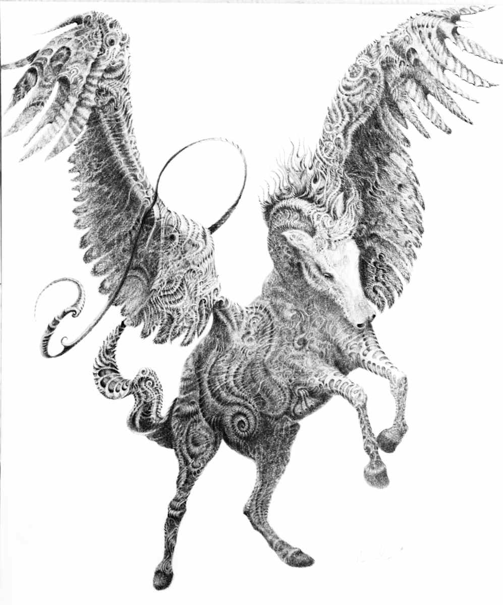 OroniousPi by Doug Sandelin, Image 1.