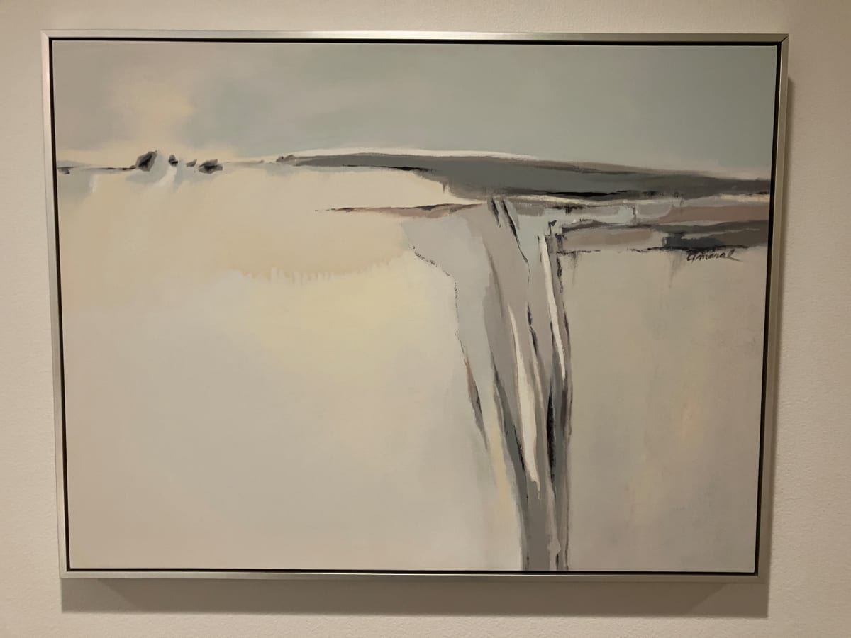 Silver Cliffs by Roberto Amaral 