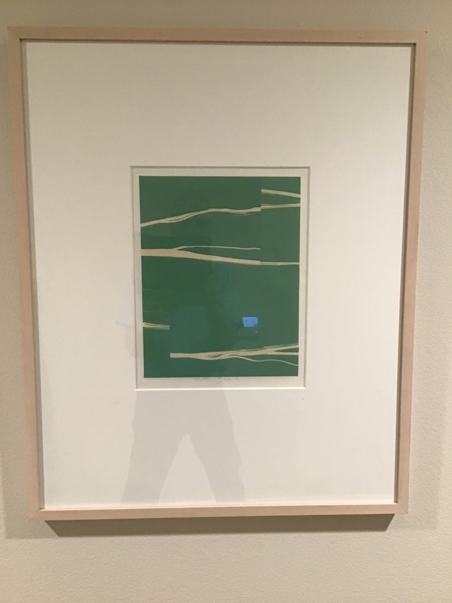 Near Shore I by Peter Zaleski 